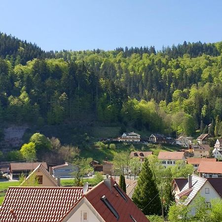Ferienwohnung Wolfsschlucht Calw Exterior foto