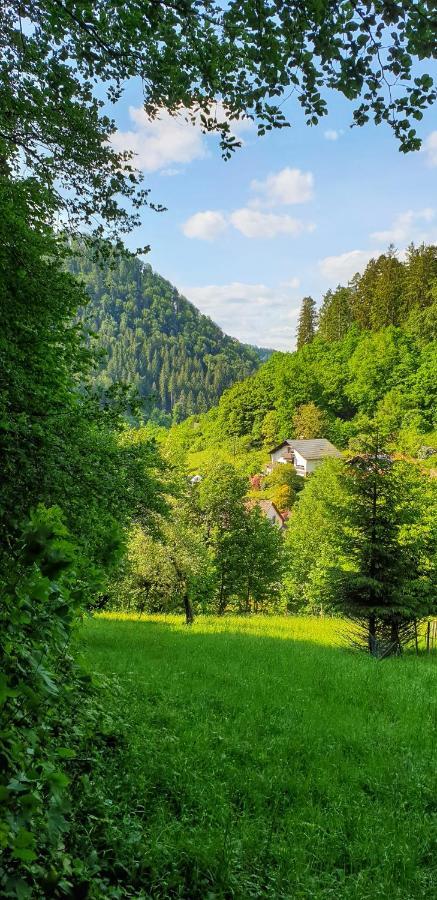 Ferienwohnung Wolfsschlucht Calw Exterior foto