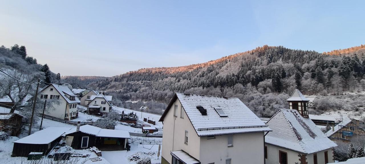 Ferienwohnung Wolfsschlucht Calw Exterior foto