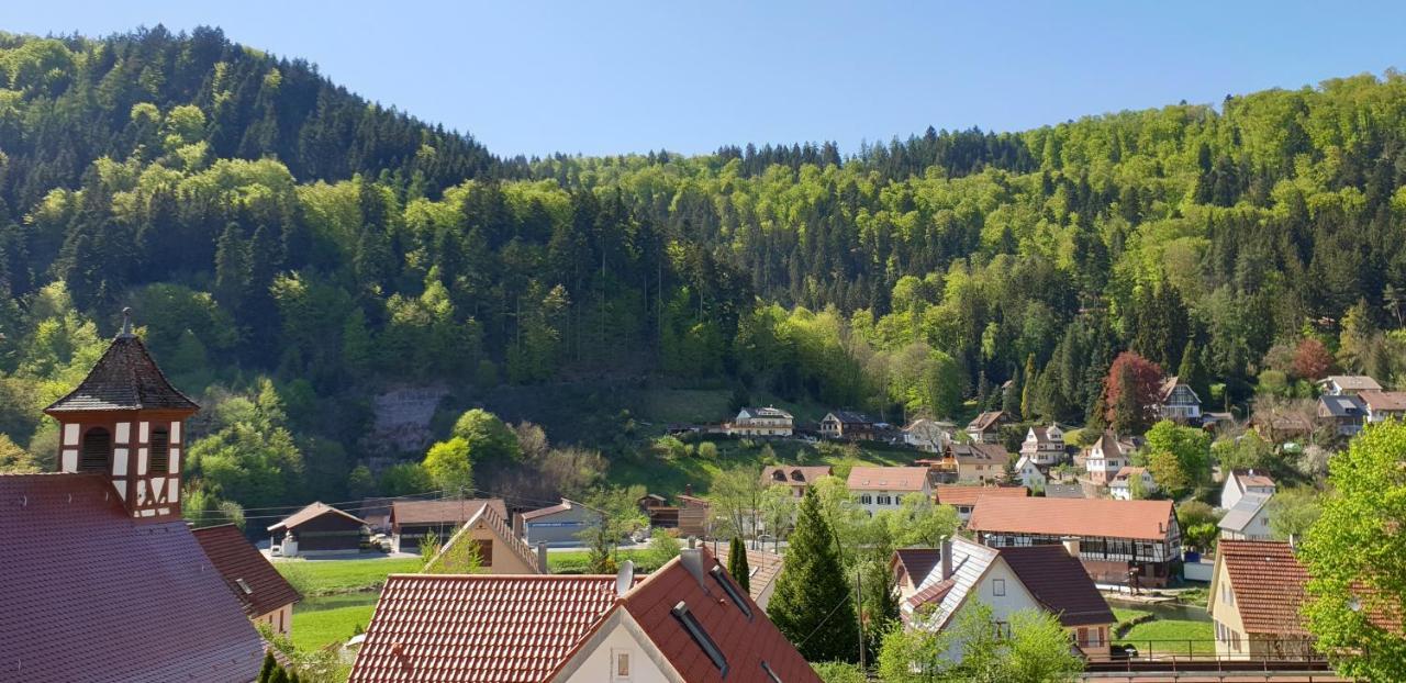 Ferienwohnung Wolfsschlucht Calw Exterior foto