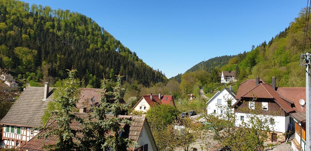 Ferienwohnung Wolfsschlucht Calw Exterior foto